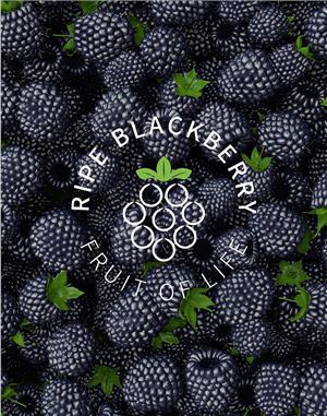 RIPE BLACKBERRY 黑莓熟了(le)